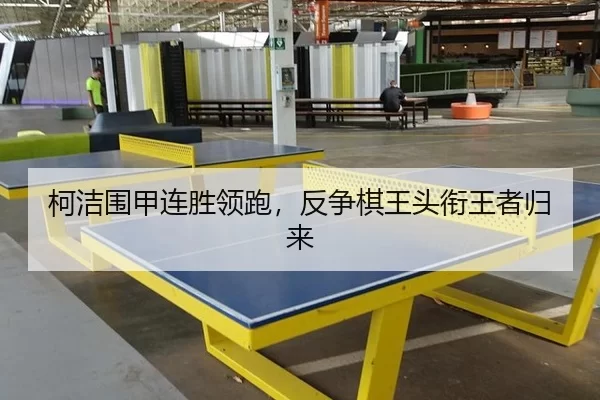 ke-jie-wei-jia-lian-sheng-ling-pao-fan-zheng-qi-wang-tou-xian-wang-zhe-gui-lai-2-225.jpg