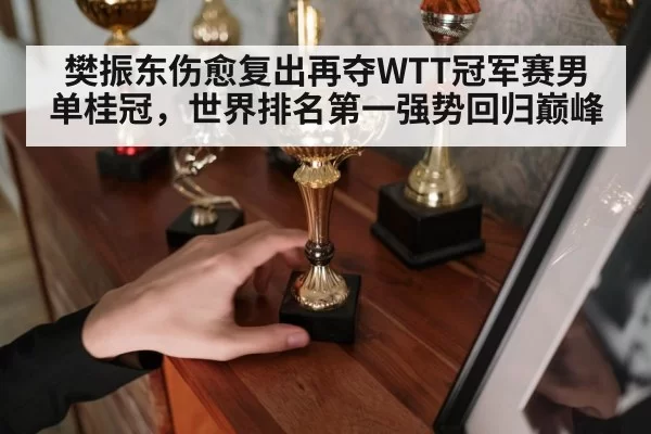 樊振东伤愈复出再夺WTT冠军赛男单桂冠,世界排名第一强势回归巅峰