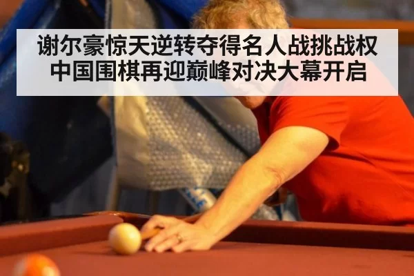 谢尔豪惊天逆转夺得名人战挑战权 中国围棋再迎巅峰对决大幕开启
